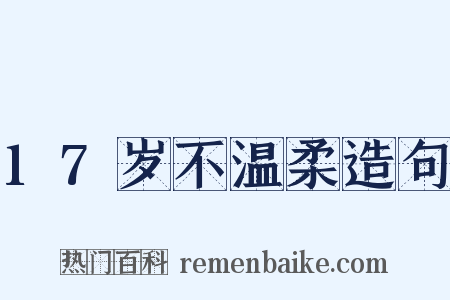 17岁不温柔造句是什么意思的图片